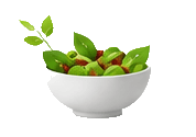 Fresh healthy food