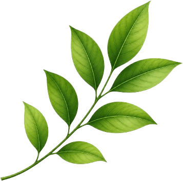 leaf